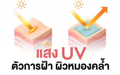 วิธีเลือกครีมกันแดด ป้องกันแสง UV ทำให้เกิดฝ้า